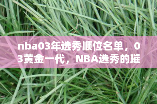 nba03年选秀顺位名单，03黄金一代，NBA选秀的璀璨时刻