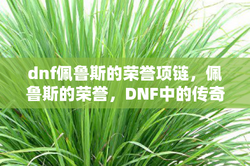 dnf佩鲁斯的荣誉项链，佩鲁斯的荣誉，DNF中的传奇装备