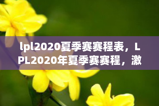 lpl2020夏季赛赛程表，LPL2020年夏季赛赛程，激情与梦想的碰撞