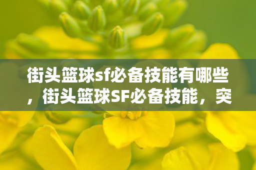街头篮球sf必备技能有哪些,街头篮球SF必备技能,突破、投射与战术理解 街头篮球sf必备技能有哪些,街头篮球SF必备技能,突破、投射与战术理解