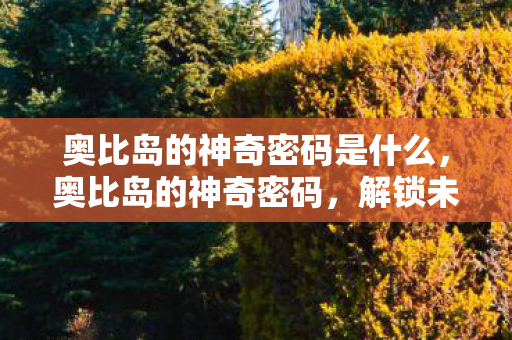奥比岛的神奇密码是什么，奥比岛的神奇密码，解锁未知世界的钥匙