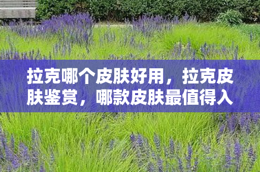 拉克哪个皮肤好用，拉克皮肤鉴赏，哪款皮肤最值得入手？