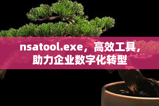nsatool.exe，高效工具，助力企业数字化转型