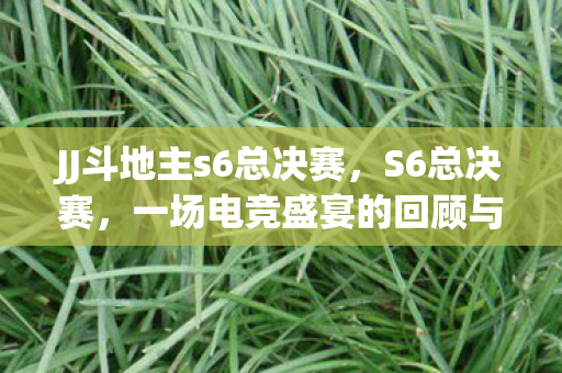 JJ斗地主s6总决赛，S6总决赛，一场电竞盛宴的回顾与解析