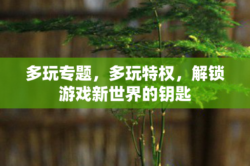 多玩专题，多玩特权，解锁游戏新世界的钥匙