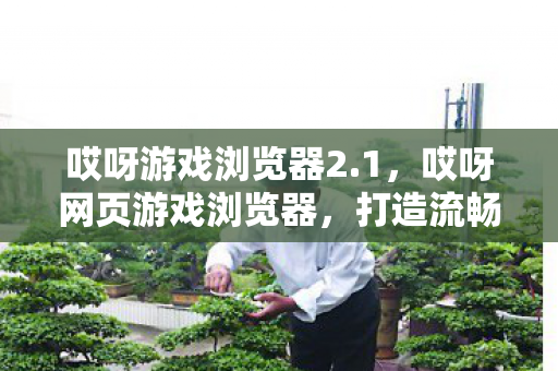 哎呀游戏浏览器2.1,哎呀网页游戏浏览器,打造流畅游戏新体验 哎呀游戏浏览器2.1,哎呀网页游戏浏览器,打造流畅游戏新体验