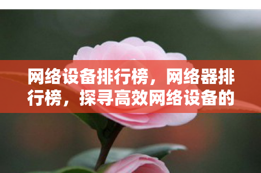网络设备排行榜，网络器排行榜，探寻高效网络设备的奥秘