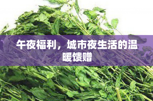 午夜福利，城市夜生活的温暖馈赠