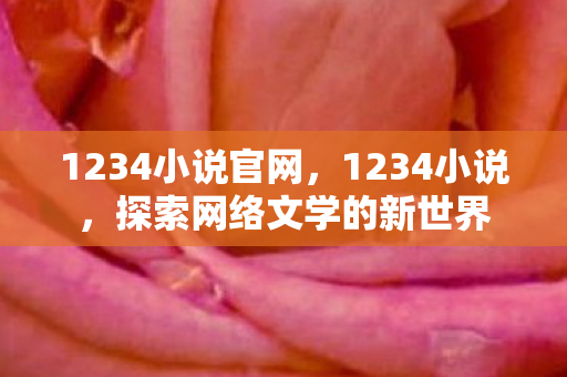 1234小说官网，1234小说，探索网络文学的新世界