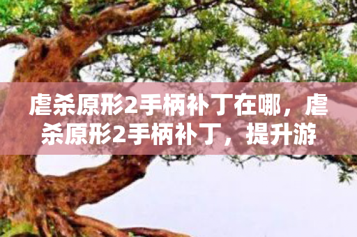 虐杀原形2手柄补丁在哪，虐杀原形2手柄补丁，提升游戏体验的必备神器