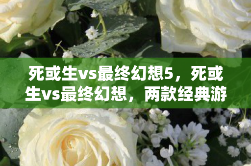 死或生vs最终幻想5，死或生vs最终幻想，两款经典游戏的魅力碰撞