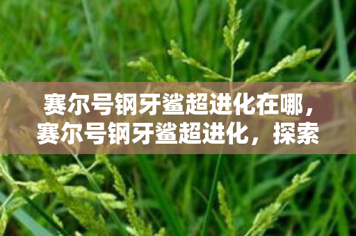 赛尔号钢牙鲨超进化在哪，赛尔号钢牙鲨超进化，探索未知，挑战极限