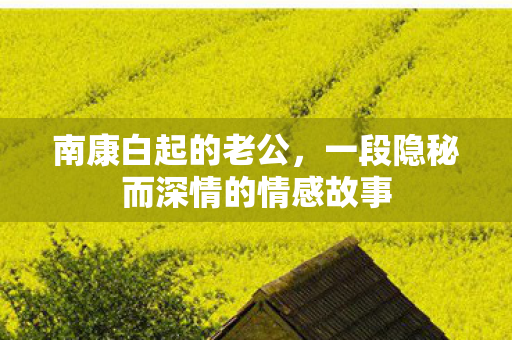 南康白起的老公，一段隐秘而深情的情感故事