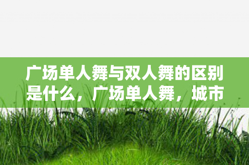 广场单人舞与双人舞的区别是什么，广场单人舞，城市中的自由表达与社交新风尚