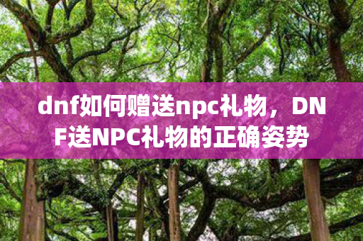 dnf如何赠送npc礼物，DNF送NPC礼物的正确姿势