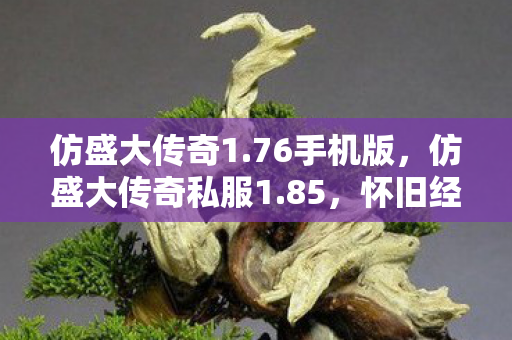 仿盛大传奇1.76手机版，仿盛大传奇私服1.85，怀旧经典，重温传奇