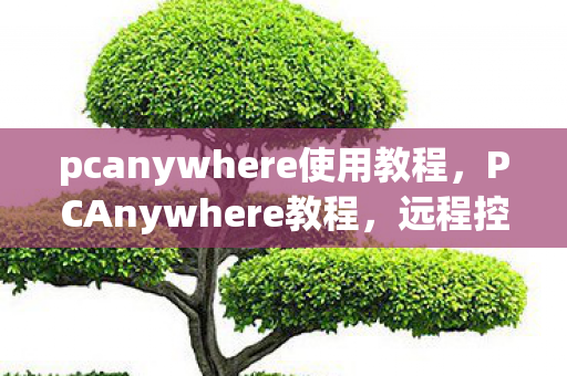 pcanywhere使用教程，PCAnywhere教程，远程控制的全面指南