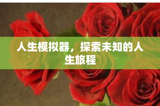 人生模拟器，探索未知的人生旅程