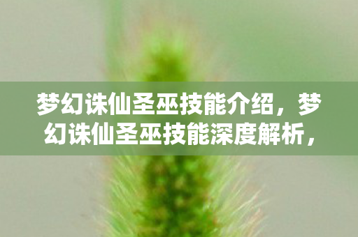 梦幻诛仙圣巫技能介绍，梦幻诛仙圣巫技能深度解析，掌握古老巫术，重塑战斗格局