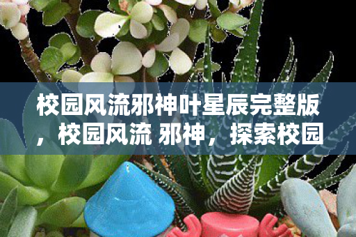 校园风流邪神叶星辰完整版，校园风流 邪神，探索校园中的神秘力量