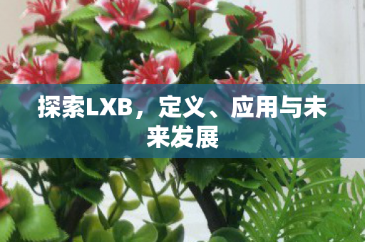 探索LXB，定义、应用与未来发展