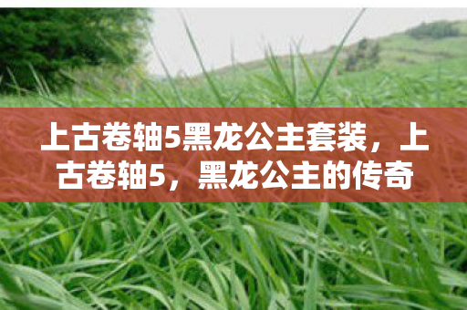 上古卷轴5黑龙公主套装，上古卷轴5，黑龙公主的传奇故事