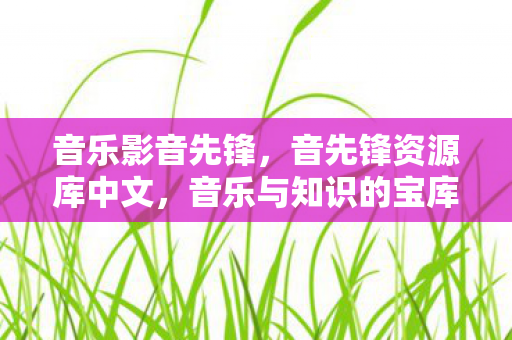 音乐影音先锋，音先锋资源库中文，音乐与知识的宝库