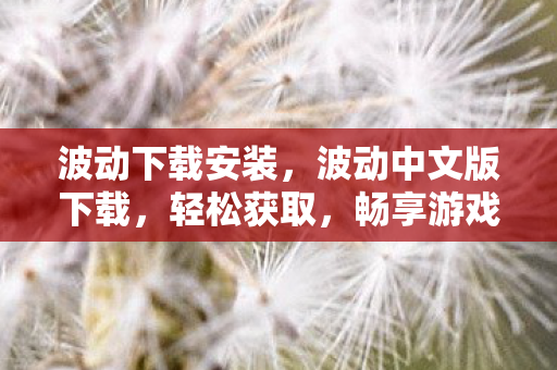 波动下载安装，波动中文版下载，轻松获取，畅享游戏乐趣