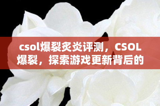 csol爆裂炙炎评测，CSOL爆裂，探索游戏更新背后的创新与挑战
