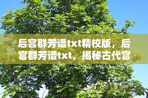 后宫群芳谱txt精校版，后宫群芳谱txt，揭秘古代宫廷中的女性风采