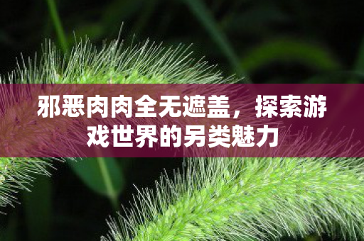 邪恶肉肉全无遮盖,探索游戏世界的另类魅力 邪恶肉肉全无遮盖,探索游戏世界的另类魅力