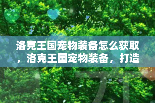 洛克王国宠物装备怎么获取，洛克王国宠物装备，打造强大宠物的必备利器