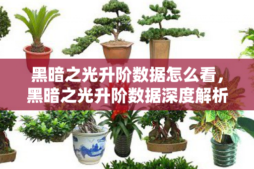 黑暗之光升阶数据怎么看，黑暗之光升阶数据深度解析，解锁未知潜能，挑战极限战力