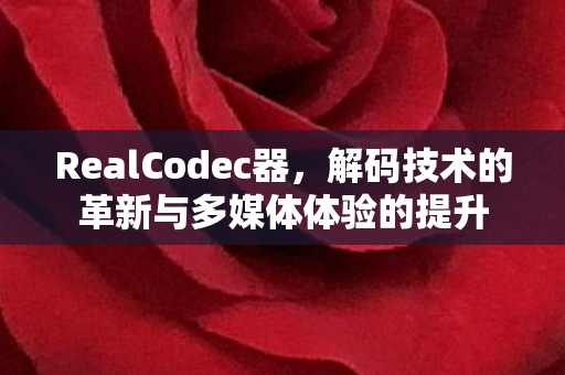 RealCodec器,解码技术的革新与多媒体体验的提升 RealCodec器,解码技术的革新与多媒体体验的提升