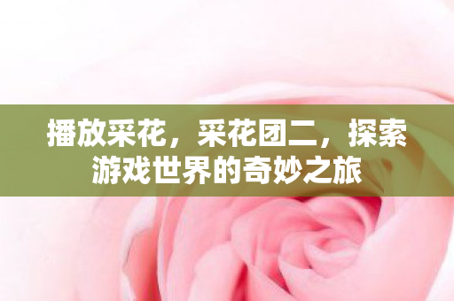 播放采花，采花团二，探索游戏世界的奇妙之旅