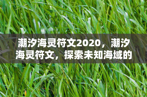 潮汐海灵符文2020，潮汐海灵符文，探索未知海域的神秘力量