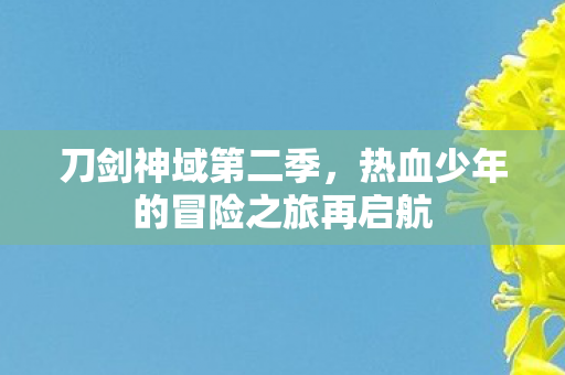 刀剑神域第二季，热血少年的冒险之旅再启航