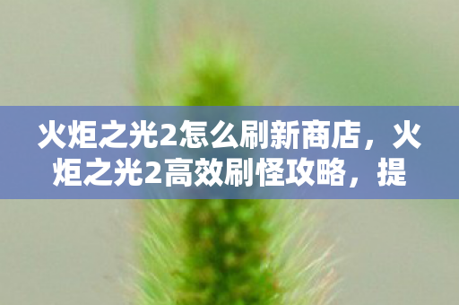火炬之光2怎么刷新商店，火炬之光2高效刷怪攻略，提升效率与装备获取技巧