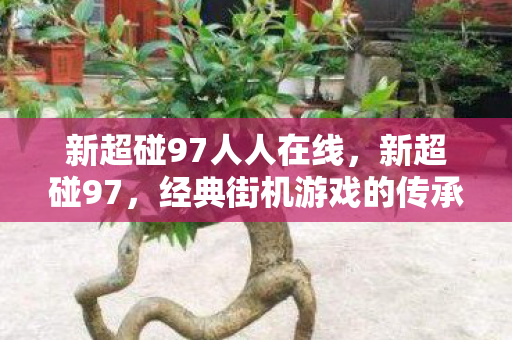 新超碰97人人在线，新超碰97，经典街机游戏的传承与革新