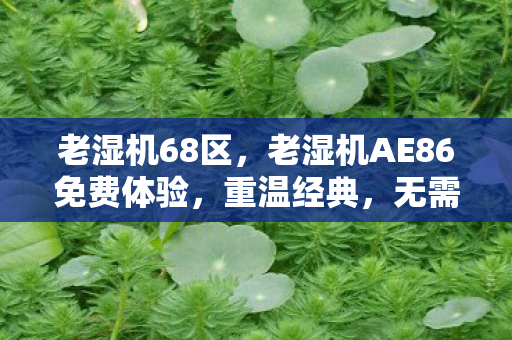 老湿机68区，老湿机AE86免费体验，重温经典，无需付费