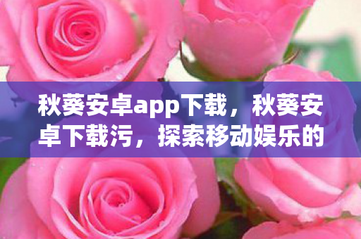 秋葵安卓app下载，秋葵安卓下载污，探索移动娱乐的新境界