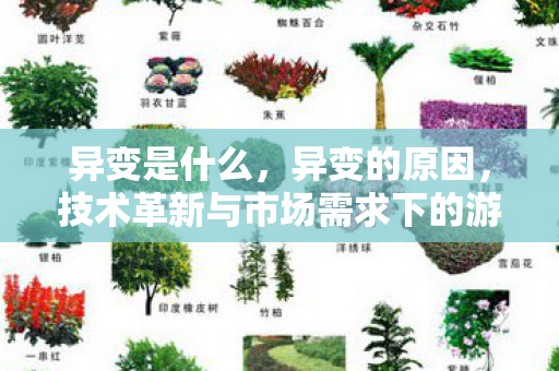 异变是什么，异变的原因，技术革新与市场需求下的游戏生态变革