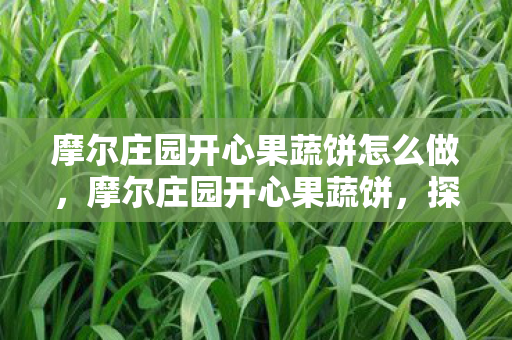 摩尔庄园开心果蔬饼怎么做，摩尔庄园开心果蔬饼，探索庄园的奇妙之旅与美味创意