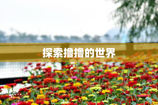 探索撸撸的世界