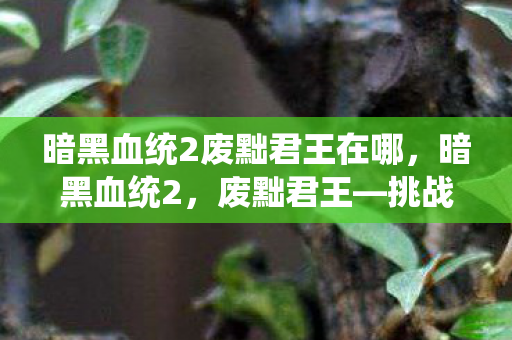 暗黑血统2废黜君王在哪,暗黑血统2,废黜君王—挑战与荣耀的交织 暗黑血统2废黜君王在哪,暗黑血统2,废黜君王—挑战与荣耀的交织