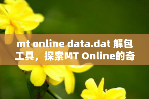 mt online data.dat 解包工具，探索MT Online的奇幻世界，一场虚拟冒险的盛宴