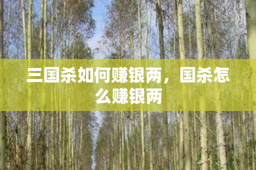 三国杀如何赚银两，国杀怎么赚银两