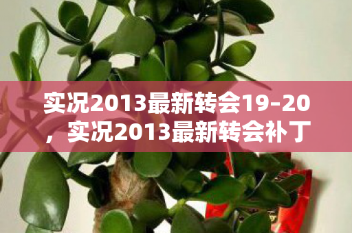 实况2013最新转会19–20，实况2013最新转会补丁，重塑绿茵场，引领足球游戏新风尚