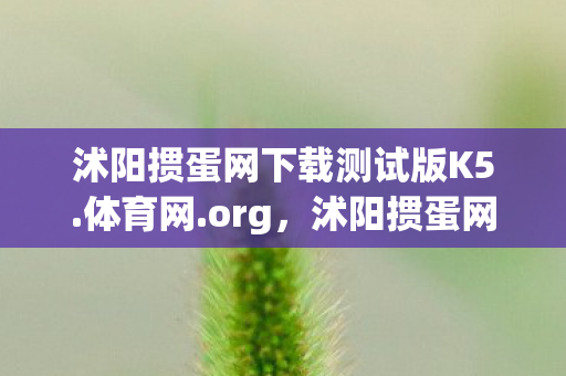 沭阳掼蛋网下载测试版K5.体育网.org，沭阳掼蛋网下载，便捷体验与安全保障的完美结合