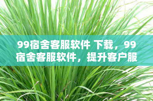 99宿舍客服软件 下载，99宿舍客服软件，提升客户服务效率与体验的智能工具